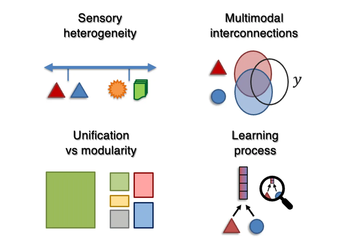 Scientific Foundations of Multisensory AI