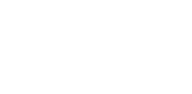 Logo, Multisensory Intelligence